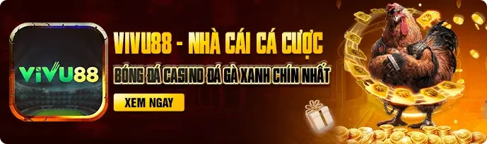vivu88 nhà cái cá cược